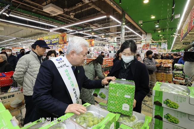 무주 반딧불 샤인머스캣 판촉 행사