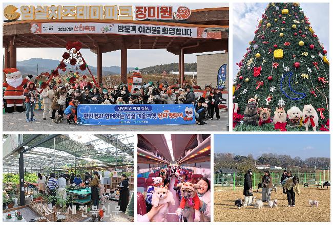 반려견과 임실 겨울 여행…산타 펫투어, 소중한 추억 선사     